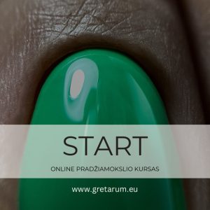 Online pradžiamokslio kursas “START”