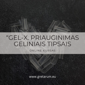 “GEL-X. PRIAUGINIMAS GELINIAIS TIPSAIS” ONLINE KURSAS