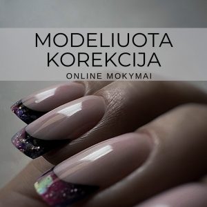 “MODELIUOTA KOREKCIJA” ONLINE KURSAS
