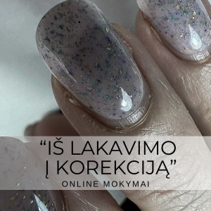 “IŠ LAKAVIMO – Į KOREKCIJĄ” ONLINE KURSAS